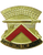 326th Support Group Unit Crest
