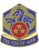 155th Chemical Battalion Unit Crest (FOG OF WAR) with gold finish and pin backing. 