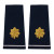 U.S. Air Force Major Epaulets - Large