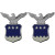 Aide to the Lieutenant General Air Force Collar Device