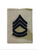 Sergeant First Class  OCP Gore-Tex slide on rank insignia patch for OCP uniform