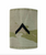 U.S. Army OCP Gore-Tex slide on rank insignia patch for OCP uniform jacket