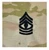 Army OCP ranks in sew on