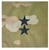 Army OCP ranks in sew on