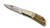 Puma P210600 stag micro handle folding lockback pocket knife compact size with genuine stag grip