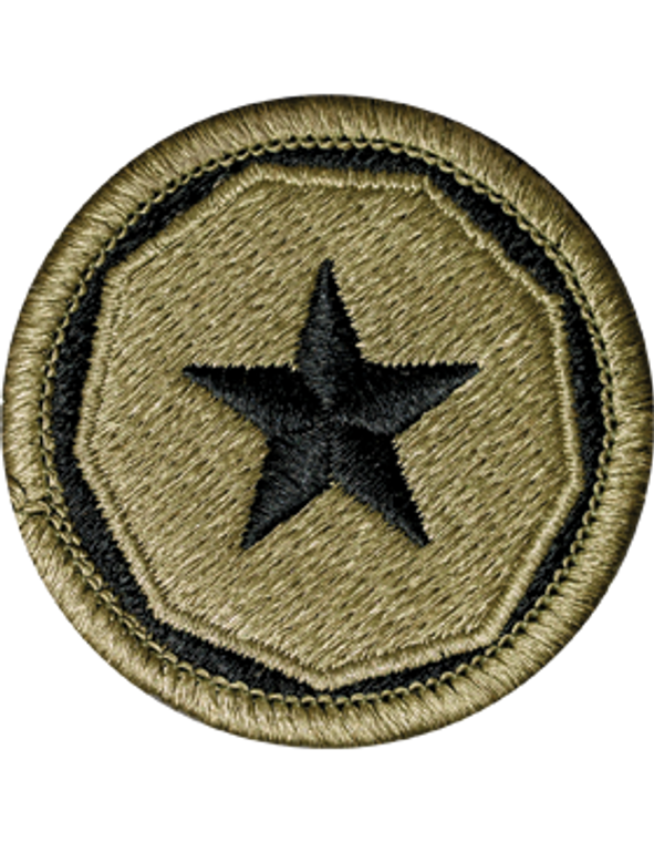 9th Support Command MultiCam (OCP) Velcro Patch