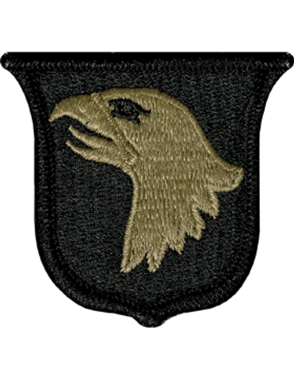 101st Airborne Division MultiCam (OCP) Velcro Patch