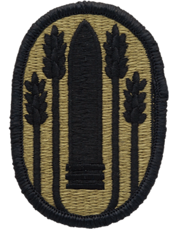 196th Maneuver Enhancement Brigade MultiCam (OCP) Velcro Patch