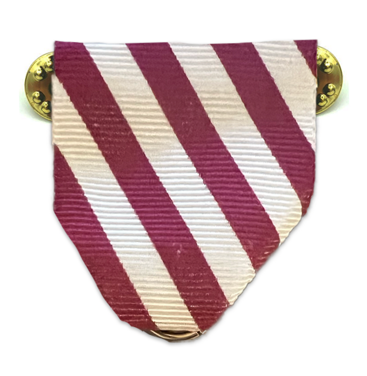 Texas A&M Corps of Cadets Fish Drill Team Medal Drape