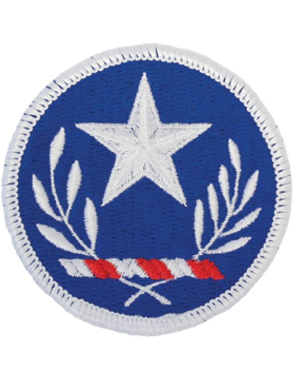 Texas National Guard Class A Full Color Patch