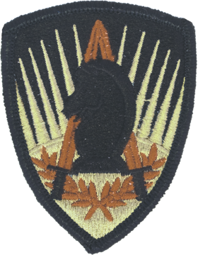 650th Military Intelligence Group Scorpion OCP velcro patch Army MI shoulder sleeve insignia intelligence unit crest
