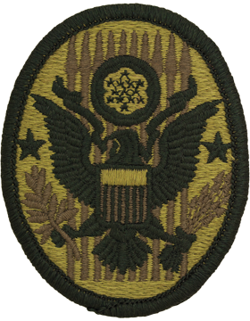 National Guard Civil Support Team Scorpion OCP velcro patch WMD response unit shoulder sleeve insignia CST patch