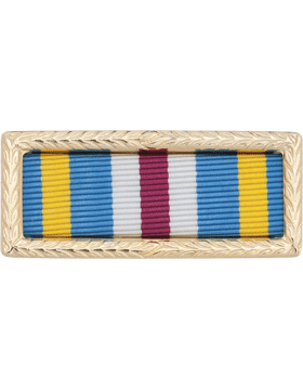 Joint Meritorious Unit Citation Award with ribbon and display rack for uniform or collectible use