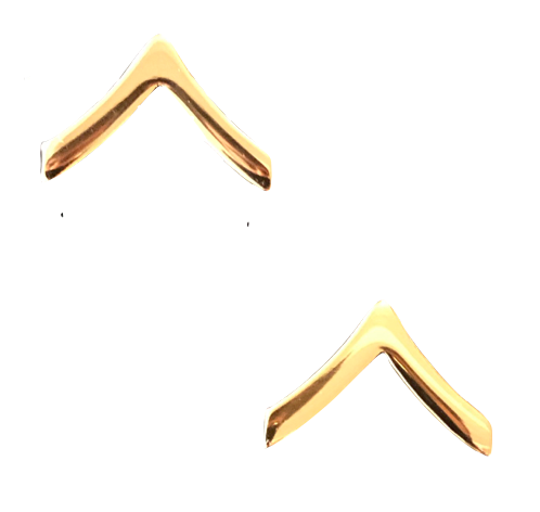Private E-2 Corps gold pin-on rank insignia for military uniforms