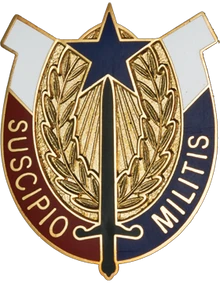 407th Support Brigade Unit Crest U.S. Army distinctive unit insignia made in USA