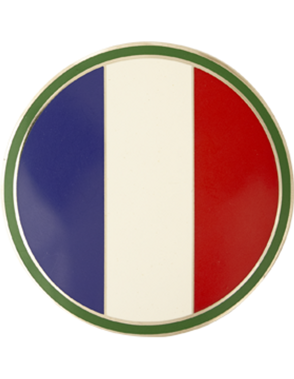US Army Forces Command Combat Service Identification Badge
