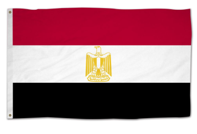 Egypt 3x5 polyester flag outdoor durable Egyptian national flag red white black stripes eagle emblem metal grommets