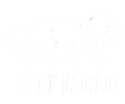 make in india