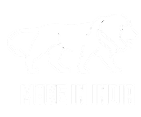 make in india