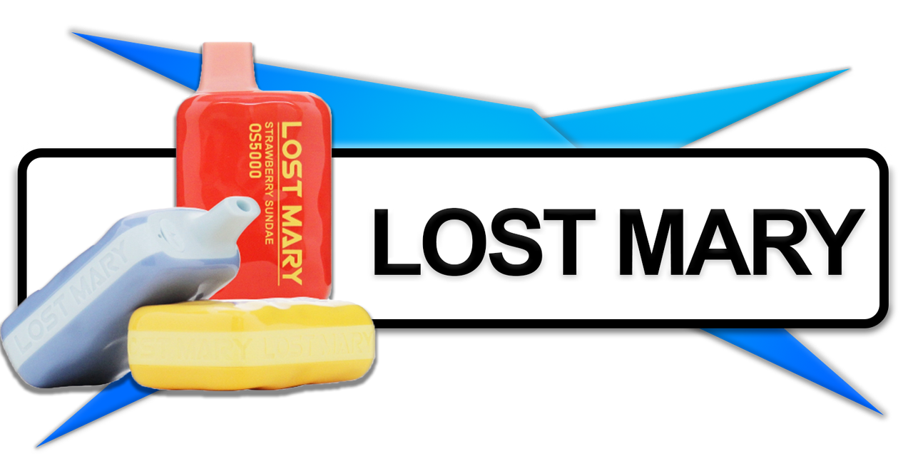 LOST MARY