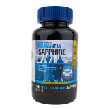 KALAMATIAN SAPPHIRE BUMBLE BEE KRATOM - 90CT CAPSULES