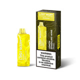 LOST MARY MO5000 13ML 5000 PUFF DISPOSABLE - 5CT