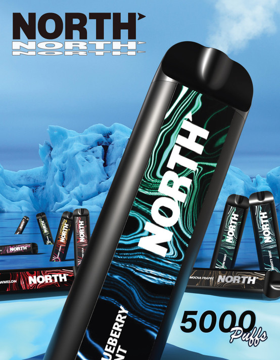 NORTH RECHARGEABLE DISPOSABLE 10ML 5000 PUFFS - 10CT