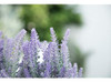 Velener Planta De Lavanda En Maceta De Flores Artificiales P 1