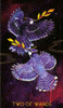 Tarot Orien's Animal Para Imprimir 1