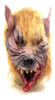 Máscara Hombre Lobo - Látex 1