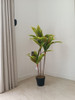 Plantas Artificiales Dracaena 100cm 0