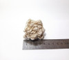 Rosa Del Desierto - Ixtlan Minerales 5
