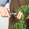 Set Herramientas Bonsai Suculentas 13 Piezas Mosfiata 3 Set Herramientas Bonsai Suculentas 13 Piezas Mosfiata 3