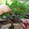 Set Herramientas Bonsai Suculentas 13 Piezas Mosfiata 4 Set Herramientas Bonsai Suculentas 13 Piezas Mosfiata 4