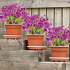 Flores Artificiales Para Exteriores Resistente A Los Rayos U 4