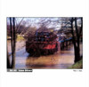 Filtro Coloured Diffuser A082 Cokin 2