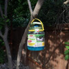Flybuster Trampa Compacta De 1 Litro 3