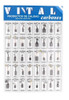 Juego De Carbones Nº 1 Amoladora 5x8x12 - Ferrejido 1