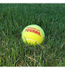 Tourna, Bolsa De Bolas De Tenis, 50 Bolas 2