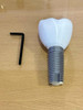 Kit Didáctico De Implante Dental 1 Kit Didáctico De Implante Dental 1