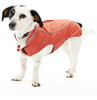 Kruuse Buster Impermeable Para Perros 1