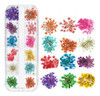 Kit De Decoración Para Uñas: Flores Secas Fcnailsinsumos 0