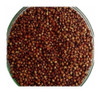 Sorgo Forrajero Variedad Sudan X 1 Kg 0