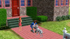 Sims 2 Completo Mas Todas Las Expansiones Y Packs Pc Digital 1