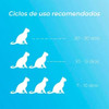 Arena Piedra Sanitaria Gatos Cat Sand Silicagel 15lt Bandeja 3 Arena Piedra Sanitaria Gatos Cat Sand Silicagel 15lt Bandeja 3