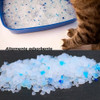 Arena Piedra Sanitaria Gatos Cat Sand Silicagel 15lt Bandeja 5 Arena Piedra Sanitaria Gatos Cat Sand Silicagel 15lt Bandeja 5