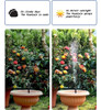 Fuente Solar Bilingüe Para Baño De Pájaros, Kit De Panel Sol 2