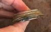 Reloj Seiko 17jewels, Automatico, Movimiento 7625d 6