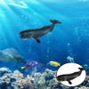 Boneco De Baleia Cachalote Out 5