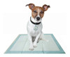 Paños Educativos Para Perros Sanitario Dogit Homeguard X 90 6